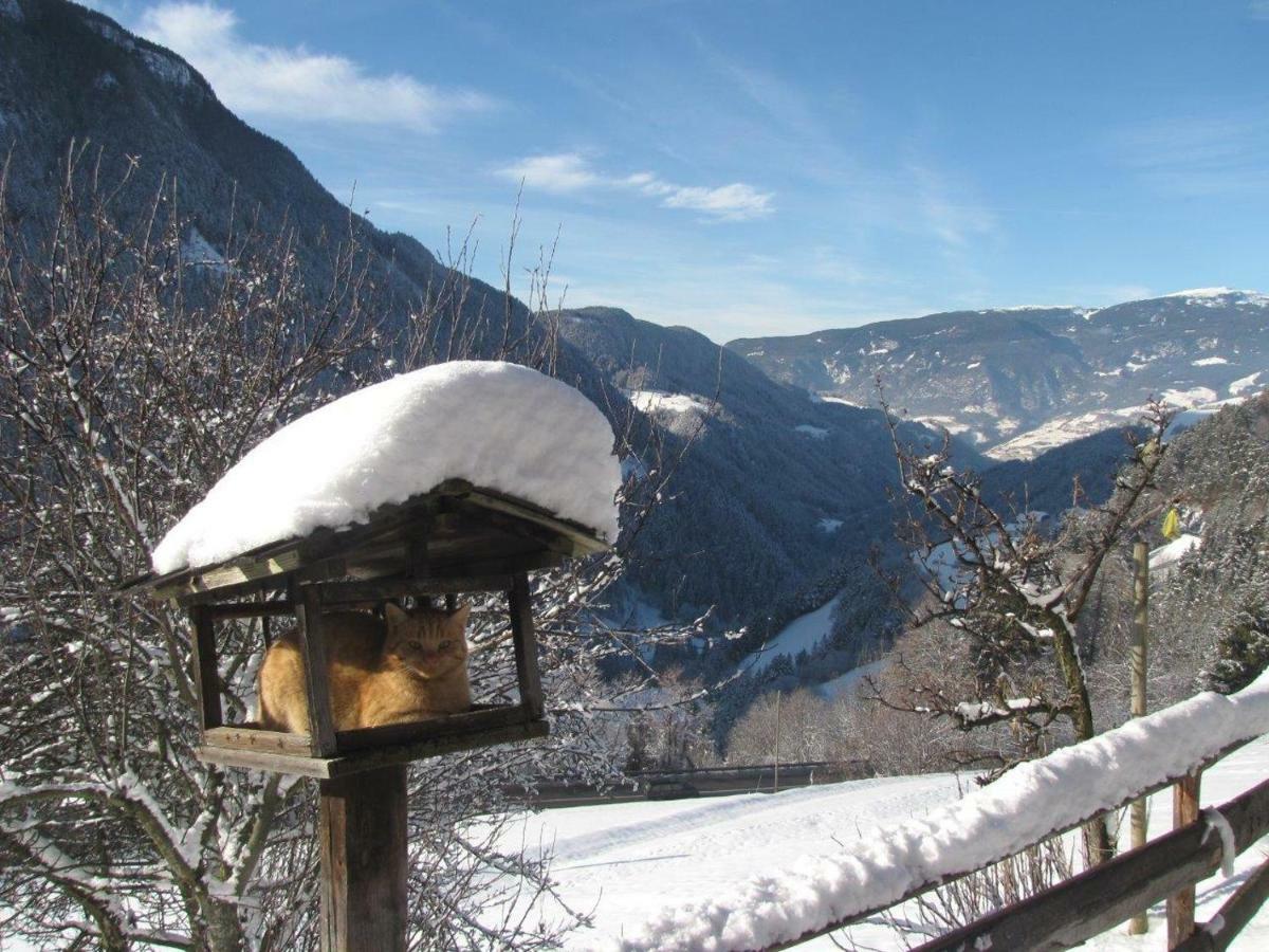 莱恩 Ritschhof旅馆 外观 照片