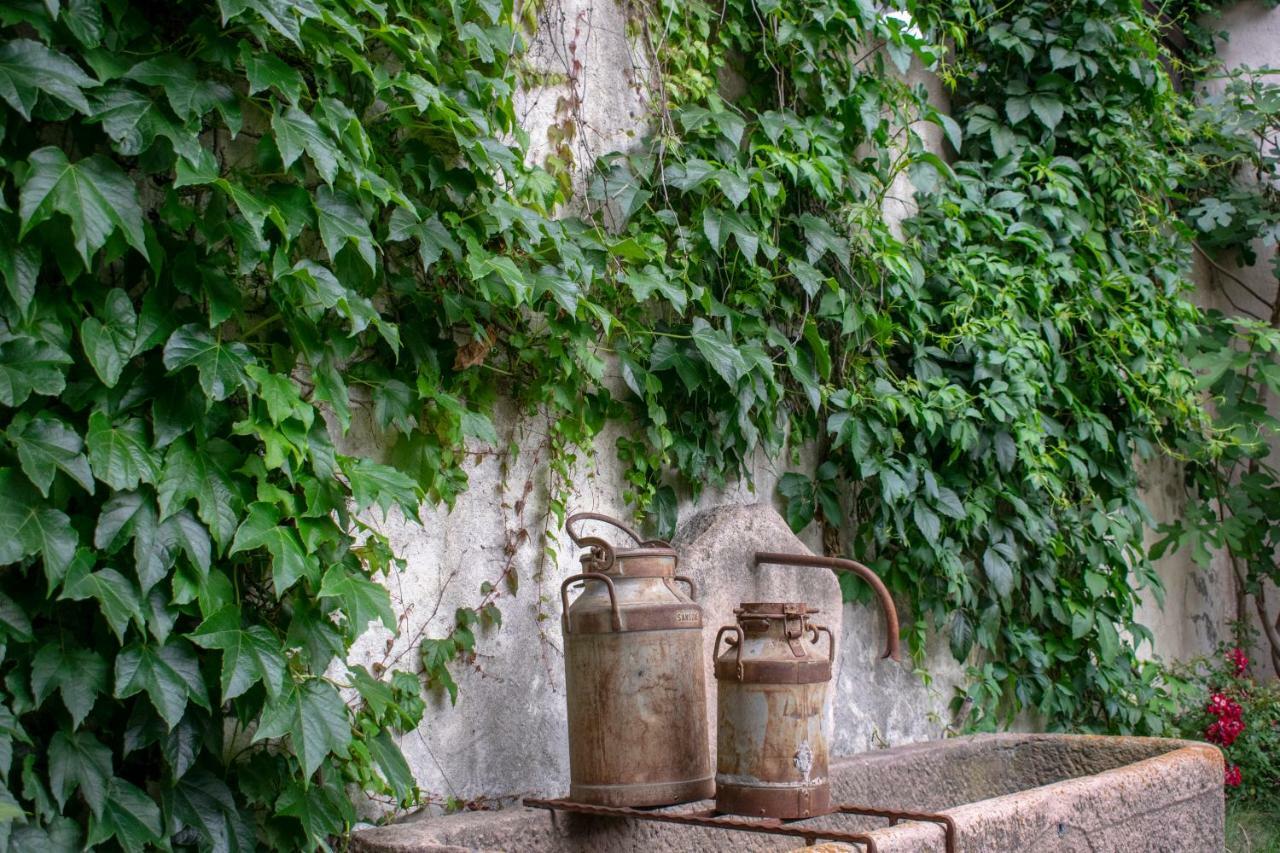 莱恩 Ritschhof旅馆 外观 照片