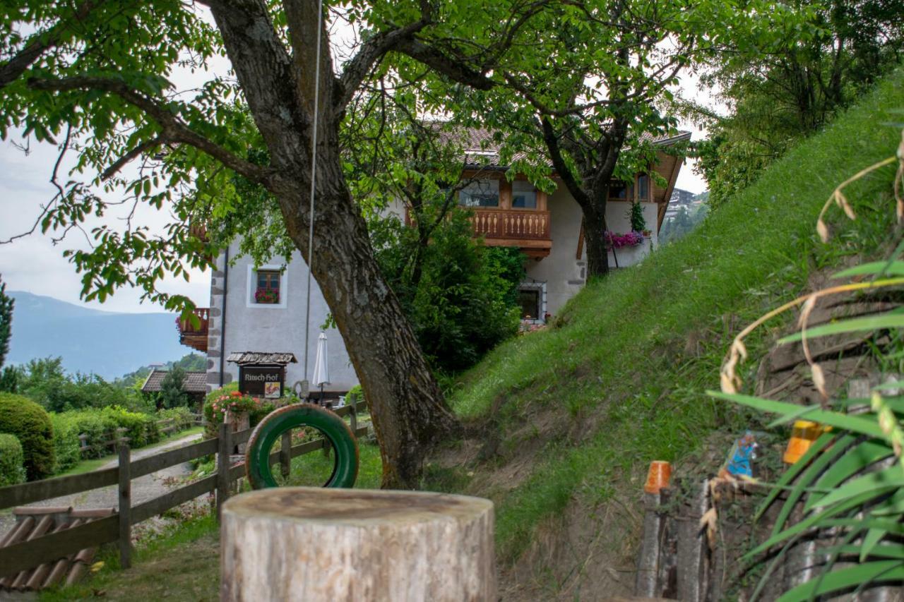 莱恩 Ritschhof旅馆 外观 照片
