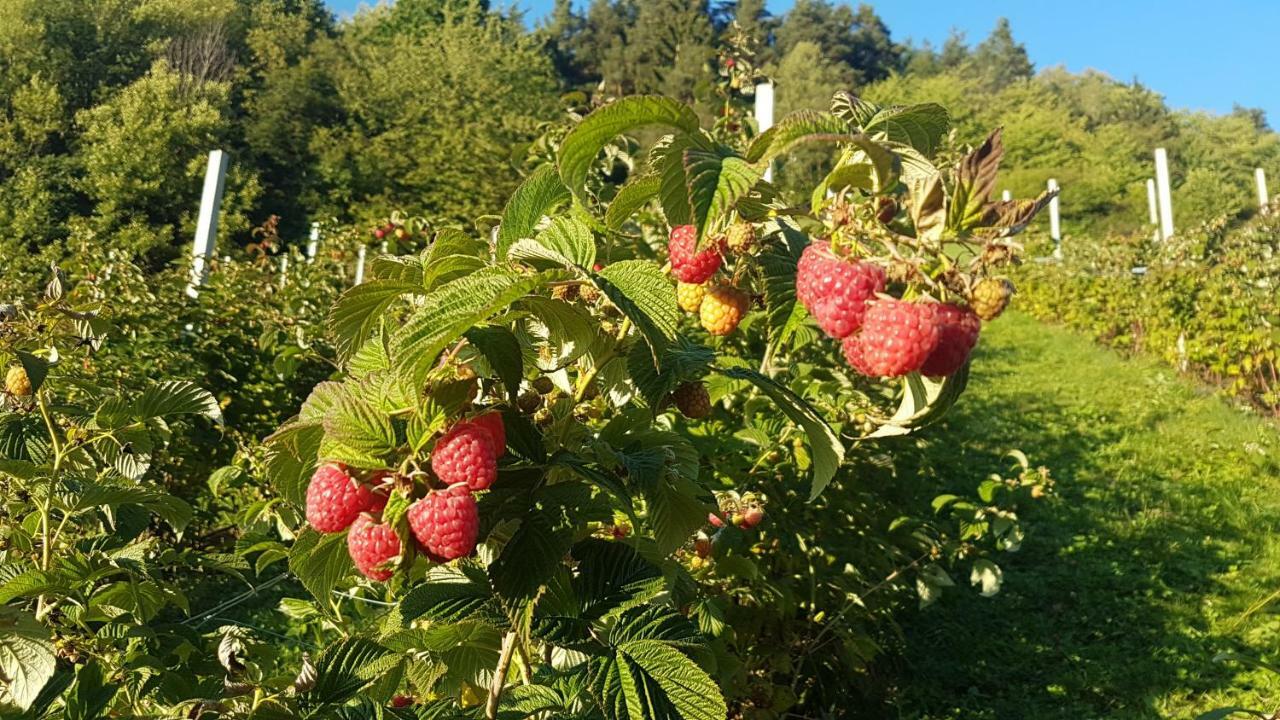 莱恩 Ritschhof旅馆 外观 照片